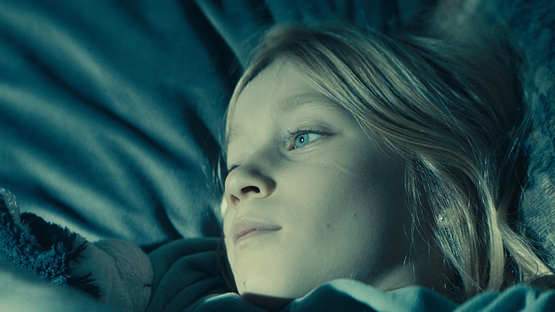 SCHIMMER – STILLS 3